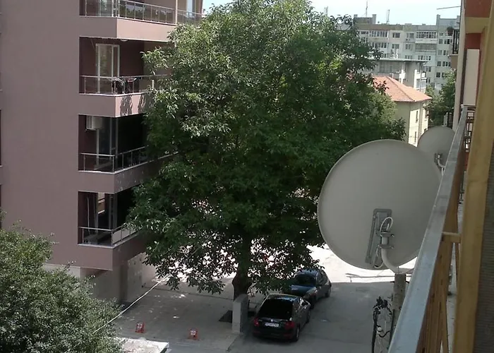 студио алекс Варна